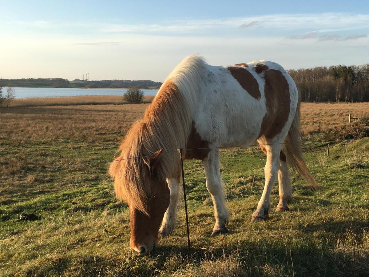 Traehusets Bnb - Bed & Breakfast Ved Klejtrup So Hobro Zewnętrze zdjęcie